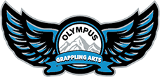 Olympus Grappling Arts Near Me In Batavia, IL
