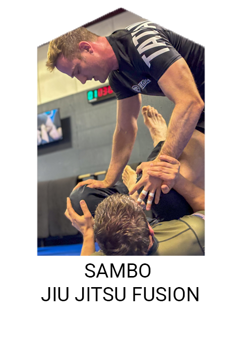 Brazilian Jiu Jitsu Near Me In Batavia, IL